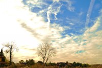 /album/www-pix-fx-de/oder-was-jpg/